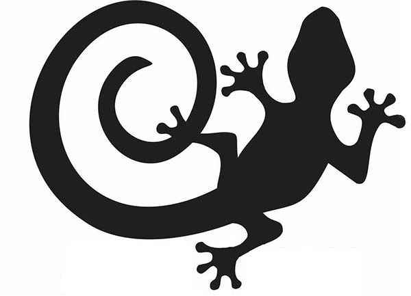 Chameleon