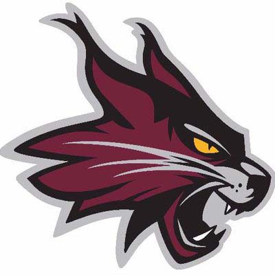 Wildcats Logo